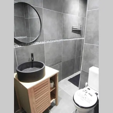 Appart Cosy A 2 Minutes A Pied Du Sanctuaire. * Lourdes